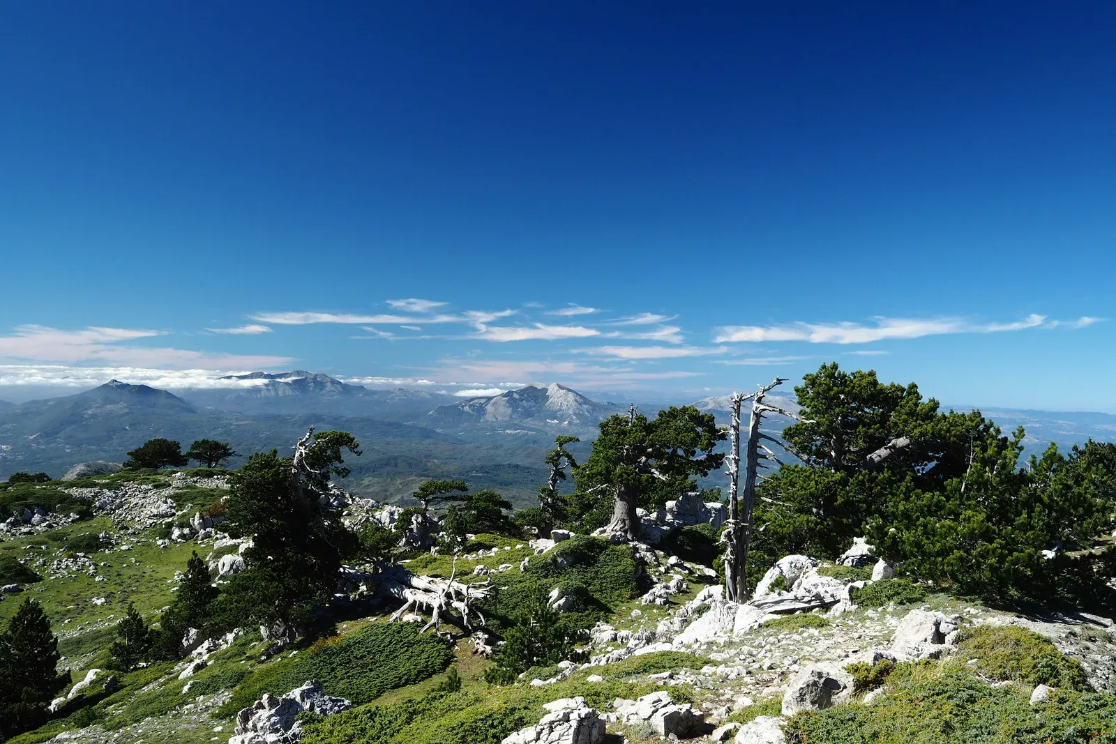 Calanchi argillosi e paesaggi del trekking lucano