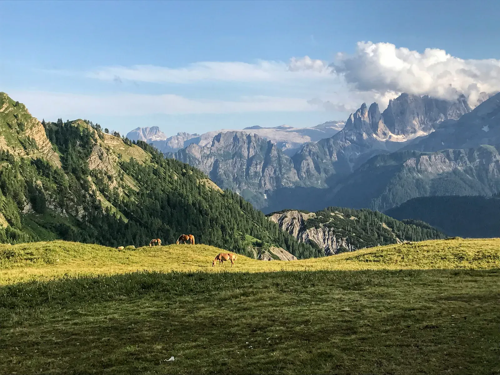 Carso triestino e Foresta di Tarvisio nel trekking friulano